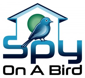 spy on a bird logo-2s